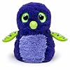 Hatchimal Draggle purple/blue