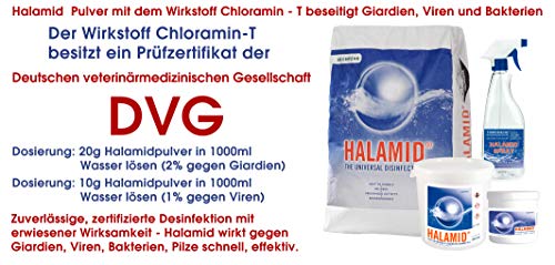 Halamid Giardien Viren Bakterien Schimmel Kryptosporidien das Original von Axcentive Desinfektionsmittel mit EU Zulassung und RKI Empfehlung 300g Dose