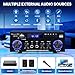 AMP-10 Bluetooth Amplifiers RMS 50WX2 Stereo Audio Amp Receivers for Home Speaker 2.0 Channel Max 600W Output Mini Power Amplifier w/FM Radio, Echo, MIC, USB, SD Input for Home,Car Audio
