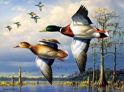 Buffalo Games Hautman Brothers, Cypress Mallards - 1000pc Jigsaw Puzzle