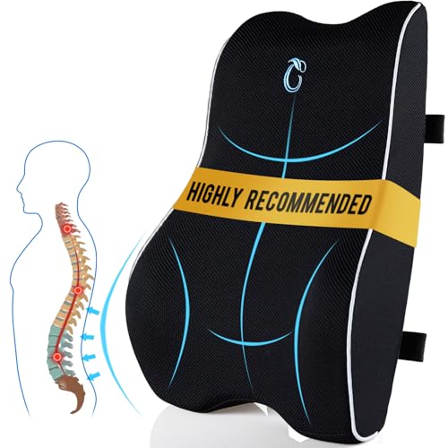 Lumbar Support Pillow for Office Chair & Car, Ergonomic Back Support Memory Foam Back Cushion with...