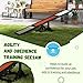 PawHut Wooden Dog Agility Seesaw for Training and Exercise, Platform Equipment Run Game Toy, Weather Resistant Pet Supplies, 71