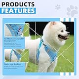 Hundegeschirr mit Hundeleine Set, Air-Mesh Atmungsaktiv Brustgeschirr für Kleine, Mittelgroße Hunde & Welpen, Weich Gepolstert Einstellbar Reflektierend Geschirr (Blau, S)