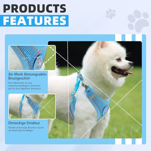 Hundegeschirr mit Hundeleine Set, Air-Mesh Atmungsaktiv Brustgeschirr für Kleine, Mittelgroße Hunde & Welpen, Weich Gepolstert Einstellbar Reflektierend Geschirr (Blau, S)
