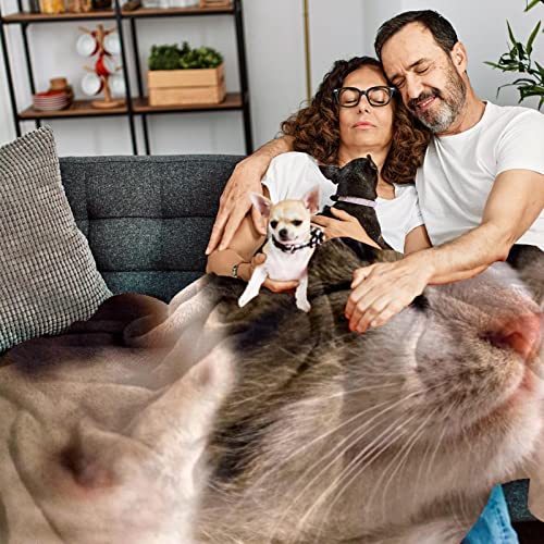 Jeté de lit polaire chat pour soirées cocooning canapé