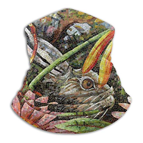 Sword Dynasty Die Bahamas Flagge Sturmhaube Damen Stirnband Schal Herren Bandana, Schalldämpfer, Hals Gamasche, Magie, Armband Halstuch, 2