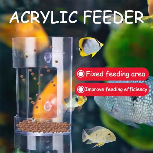 Image of Fish Feeder Oval Back Flat Automatic Feeders Reduced Filter Clogging Tank Suitable for All Kinds of Food Tank Accessories