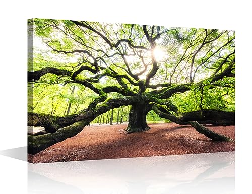 Décoration murale toile paysage naturel haut de gamme avec châssis robuste 91,4 cm