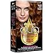 Garnier Olia Ammonia Free Permanent Hair Color, 100% Gray Coverage (Packaging May Vary), 6.43 Light Natural Auburn, Red Hair Dye, Pack of 1