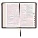 KJV Holy Bible, Standard Size Faux Leather Red Letter Edition Thumb Index, Ribbon Marker, King James Version, Brown Lion Zipper Closure (KJV Deluxe Gift Editions)