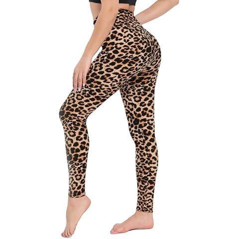 Legging femme CAMPSNAIL 3XL Cover