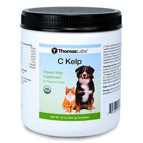 Thomas Labs C Kelp - Organic Kelp Supplement for Dogs & Cats