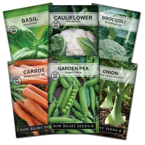 Sow Right Seeds - Spring Vegetable Seeds Collection For Planting - Individual Packets Basil, Broccoli, Carrot, Onion, Cauliflower, And Peas, Non-Gmo Heirloom Seeds To Plant An Outdoor Home Garden #TOP9
