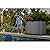 Keter Outdoor Storage Shed, Durable Resin, Compact & Portable, Store-It-Out Darwin, Grey – Lockable Lid and Sturdy Floor for Garden Tools, Trash Bins