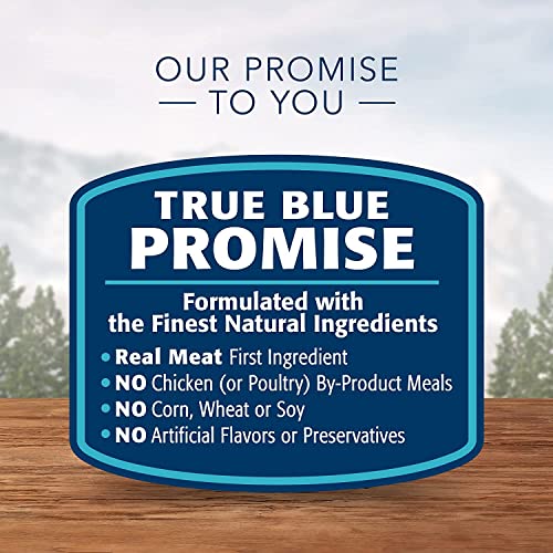 Image of Blue Buffalo Wilderness Natural High Protein Grain Free Wet Food for Kittens,Salmon Pate,3-oz,(Pack of 48)