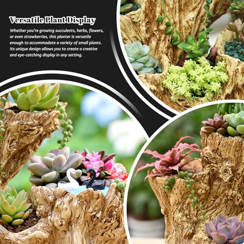 Jardinière rustique intérieure extérieure pour petites plantes