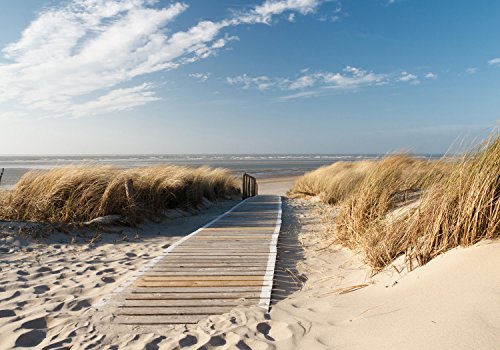 wandmotiv24 Fototapete Nordseestrand Größe: 400 x 280 cm Wandbild -...