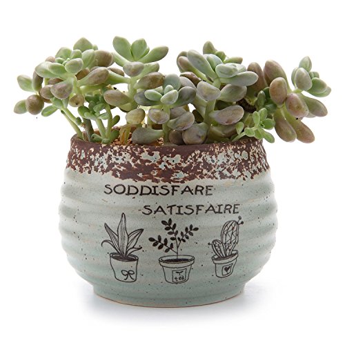 T4U 9.5CM Set of 4 in Stile Rustico Tondo Ceramica...