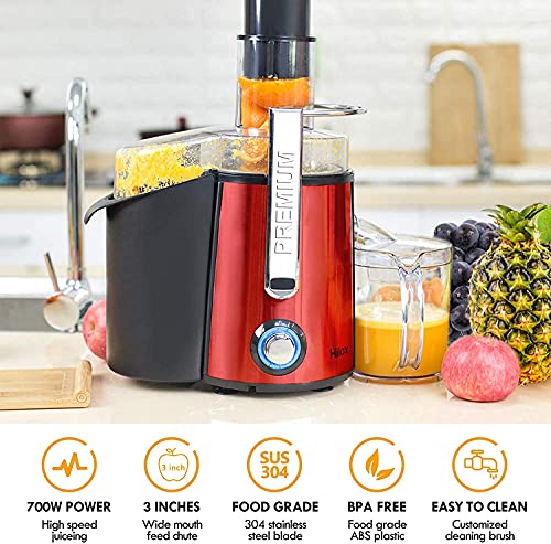 https://m.media-amazon.com/images/I/51bm2vFKXUS._SL500_.jpg