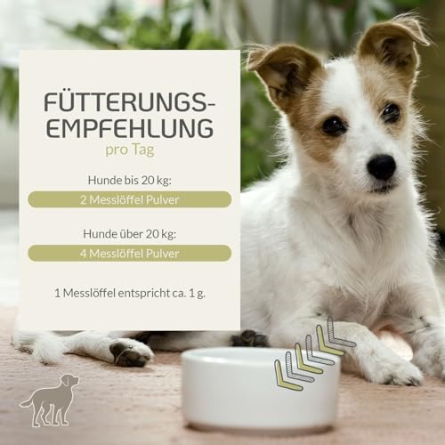 Provicell EM Vital Hund 250 ml – Premium Probiotika für Hunde flüssig - Unterstützung der Darmflora für Hunde – Fermentierte Pflanzenstoffe mit Mikroorganismen – Ohne Zusatzstoffe - Made in Germany