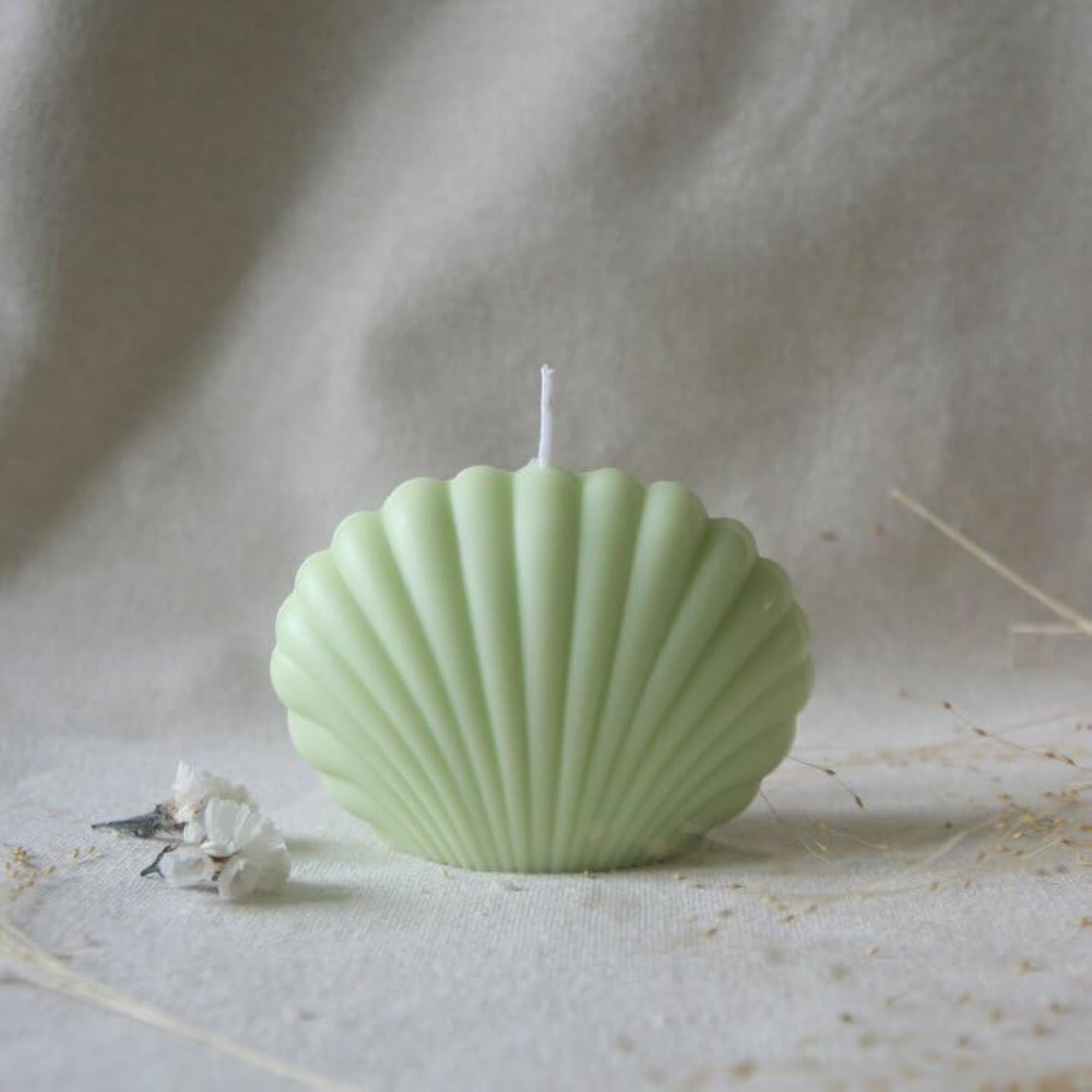 Sea Shell Design Scented Soy Wax Candles, Handmade Gift