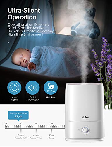 Cool Mist Humidifier, 5L/1.3 Gal Essential Oils Tray Humidifiers for Bedroom, 50 Hrs Run Time for Large Room, Baby, Auto Shut-off, Easy to Clean