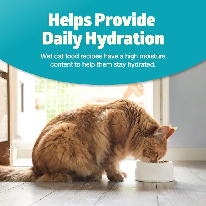 Miniatura 5 de Hanes Sudadera con capucha para mujer con cremallera completa, color gris jaspeado, talla única