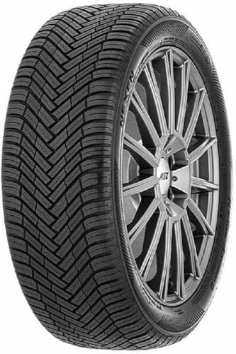 Nexen 215/55 R17 98W XL Ganzjahresreifen Allwetter M+S 3PMSF Reifen