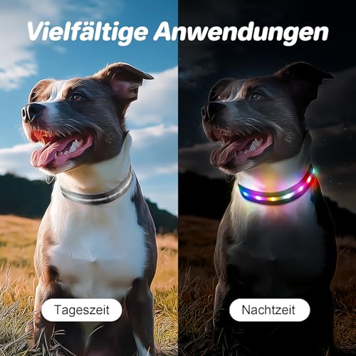 Feycig Leuchthalsband Hund Halsband Aufladbar - LED Hundehalsband Leuchtend USB Wasserdicht Einstellbare, 3 Modi, Leuchthalsband für Kleine Mittlere Große Hunde (Schwarz, M(38-50cm/15-19.7inch))
