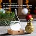 Storm Glass Weather Predictor, Teardrop-Shaped Weather Globe Home/Office Desktop Decoration, Christmas Decor Snow Globe Weather Forecast Station, Unique Christmas Gifts