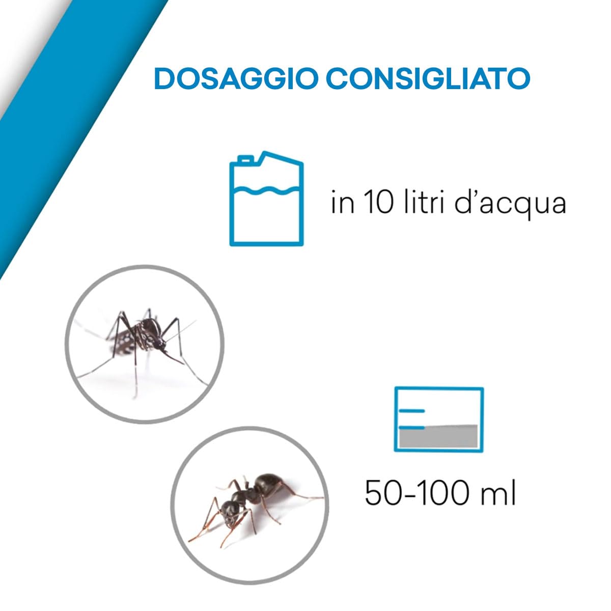 Insetticida Concentrato Insetti Striscianti e Volanti, Microincapsulazione, Made in Italy - 1 litro