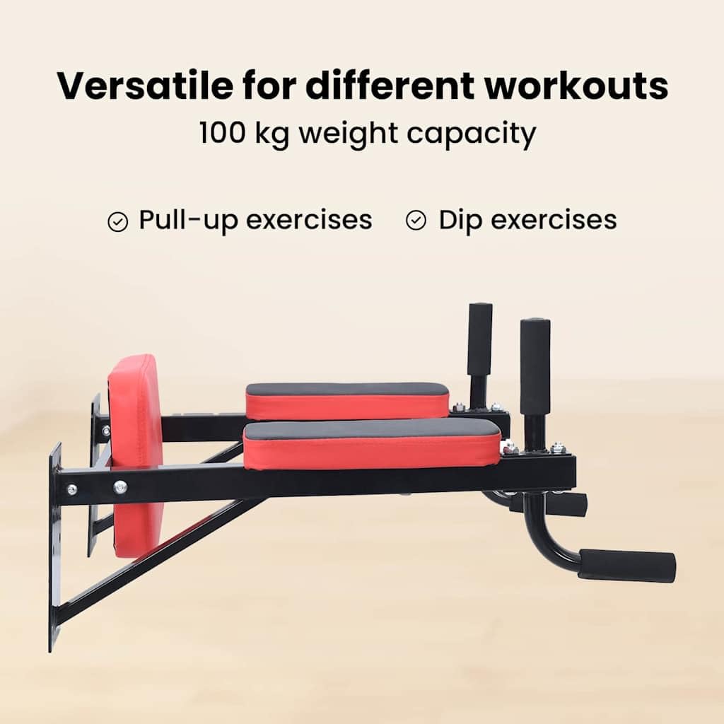 VidaXL Stazione per dips Nero e Rosso 72,5 x 70 x 31 cm, Palestra a Casa, Torre di Forza Moderna, Stazione d'Esercizio Compatta, Attrezzo Fitness Indoor per Calisthenics
