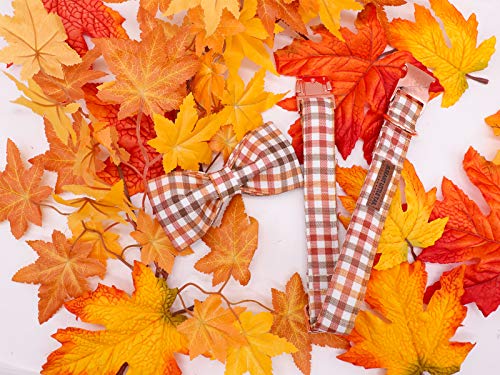 Elegant little tail Hundehalsband, Komfortables Hundehalsband mit Schleife, Herbst Haustierhalsband Verstellbare Hundehalsbänder für kleine, mittlere und große Mädchen- oder Jungenhunde