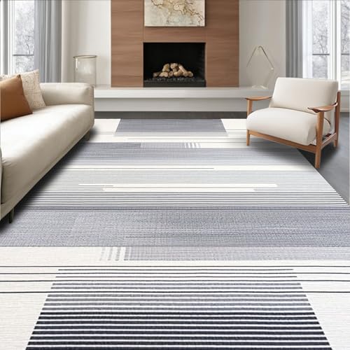 ODIKA Flatwoven High Traffic Area Rug 2x3, Monochrome Striated Design