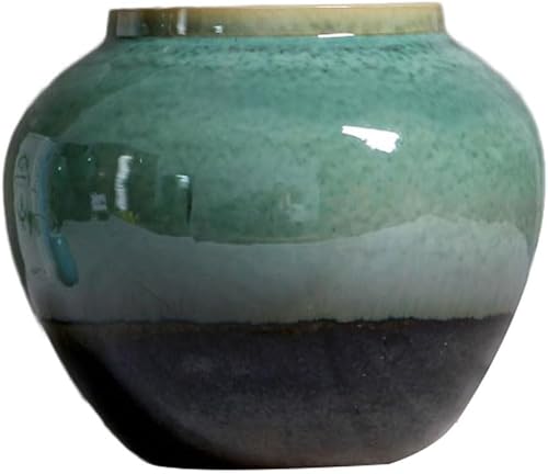 Bzgpmfud W22 X H18cm Vase Desktop Hydroponic Ceramic Modern Flower Arrangement Ornament(W22 X H18cm)