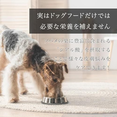 Amazon.co.jp: BI-SU: Miranest