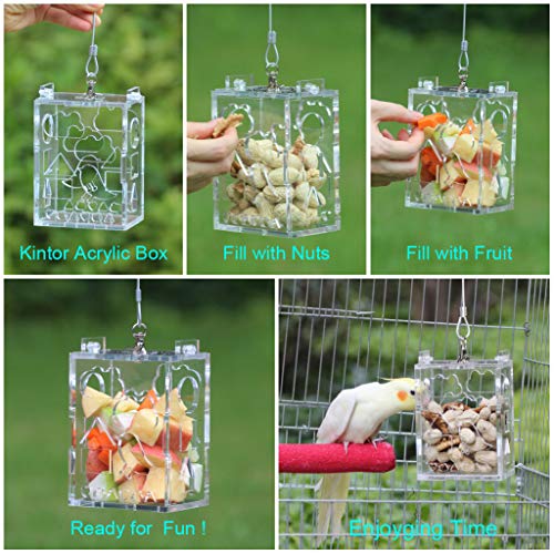 KINTOR Parrot Creative Foraging Toy Feeder Bird Cage, Big Size 4.8x3.6x2.6inch - Thumbnail 4