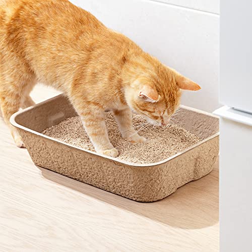 Navaris Disposable Cat Litter Trays (Pack Of 5) - Cardboard Liner Tray For Cats Made Of 100% Paper - Use Alone Or As Box Liners - 15.9" X 11.8" #TOP7