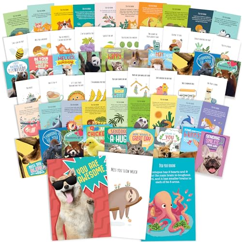 Cartes postales thématique animaux par 120 pour écrire aux amis