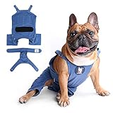 iChoue Cute Dog Diapers Suspenders for French Bulldog Frenchie Pug English Bulldog Female in Heat Cycle Blue - Small with 1pc Diaper