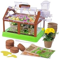 Averfeel Kids Gardening Plant Growing Kit-Kid Plant Growing Greenhouse Set with Upgraded Irrigation & Light-Perfect Garden Plant for Boys and Girls