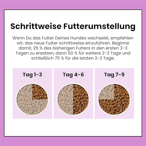 Pooch & Mutt - Ruhe & Balance, Getreidefreies Alleintrockenfutter für Hunde, Truthahn und Süßkartoffel, 2 kg