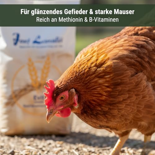 Leimüller Bierhefe für Geflügel 5 kg - Ergänzungsfutter für Hühner, Wachteln & Geflügel - Mit B-Vitamine & Aminosäuren für gesunde Federn & Vitalität - Reich an Mineralien & Spurenelementen