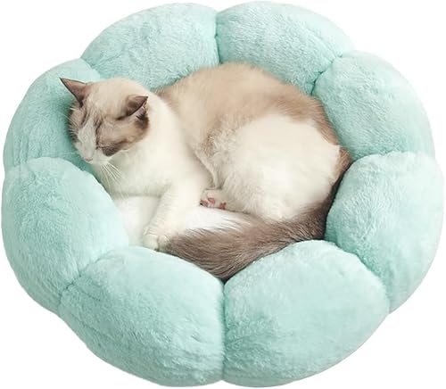 ybg xbh  NbV ۂ`̌Lpxbh  ӂӂ  Ԍ^ g Eh ӂӂ Q ې􂢉 ^ L p t[lXgLbgK[htŖѕzt ~ h \t@ ybgpi