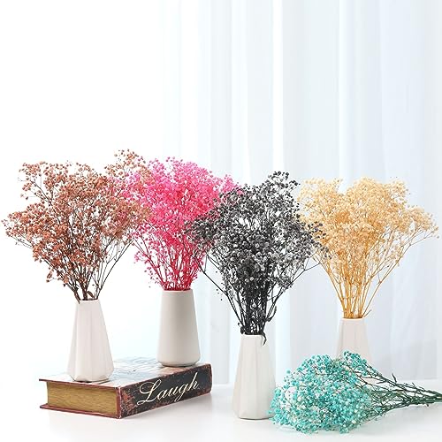 Babys Breath Dried Flowers Bouquet-17'' 1800+ Ivory Dry Flowers, Natural Gypsophila Branches for Wedding, Home Table Vase Decor, DIY Wreath Floral, Fall Thanksgiving Autumn Decoration - Image 10