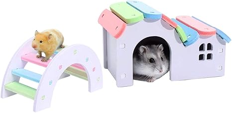 hamster house amazon