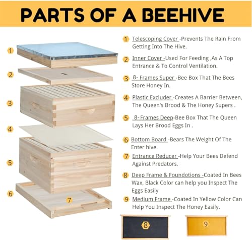 POLLIBEE 8 Frame Beehive kit, Complete Bee Hive for Beekeeper, Langstroth Bee Hives Include 1 Deep and 1 Medium Bee Box with Bee Frames and Foundation(Unassembled) - Image 3