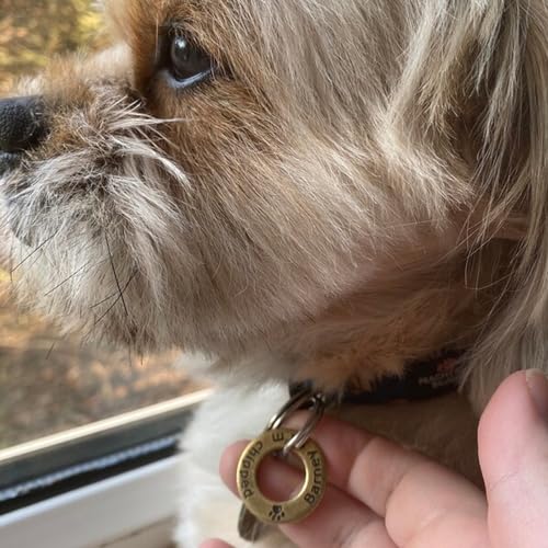 Frantsy Personalized Cats Dogs Id Tags Cute Symbols Pets Collar Name Accessories Minimalist Custom Engraved Tags For Puppy Mom Kitten Dad Anti-Lost Copper Brass Charm Gifts For Pet thumb #7