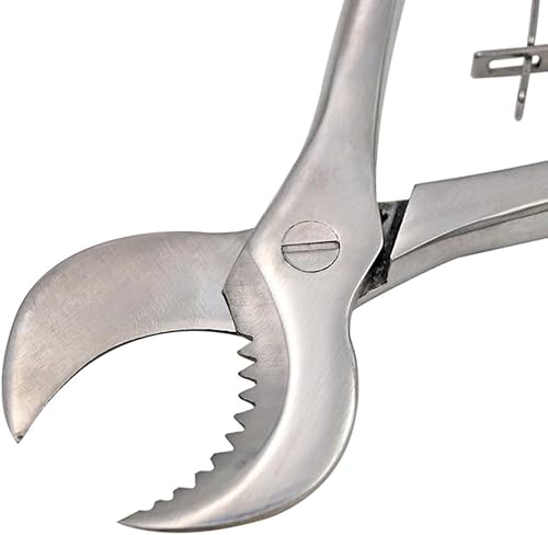 Miniatura 7 de Alicates dentales Alicates de yeso Cortador Equipo de laboratorio dentista Acero inoxidable Yeso Tijeras Material Pequeño