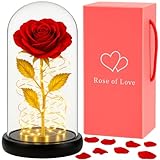 Retoo Ewige Rose im Glas mit LED Licht, Gefriergetrocknete Rosen als Geschenk für Frauen, Rote Konserviert Blume Schöne und das Biest Figur, Infinity Blume mit Glitzer, Geschenkbox für Geburtstag Vale